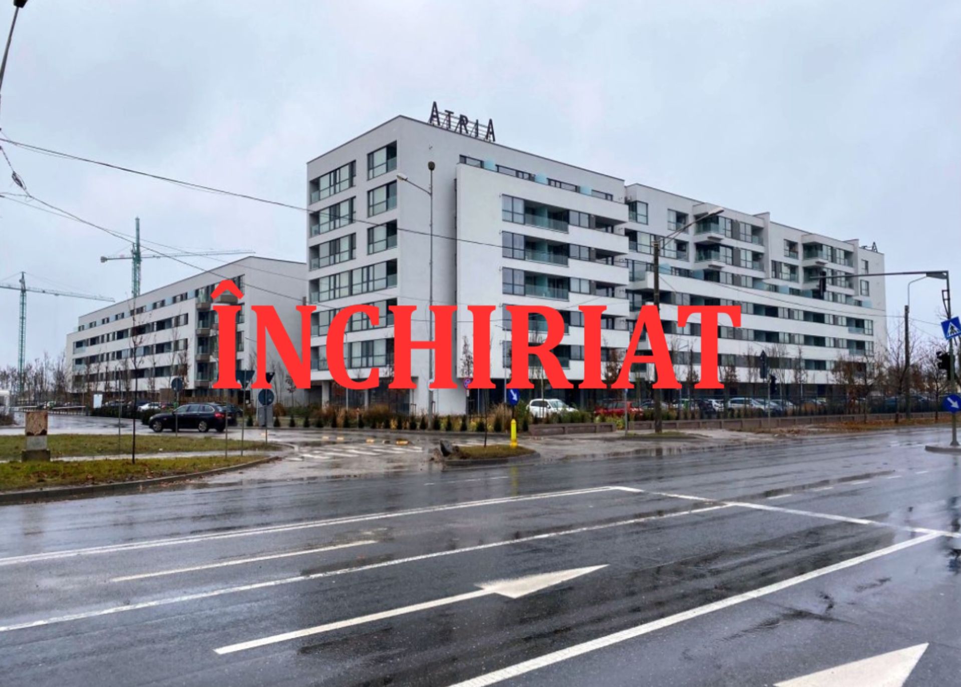 Your paragraph text (2)-redimensionată-la-2000x1430 (1).jpeg