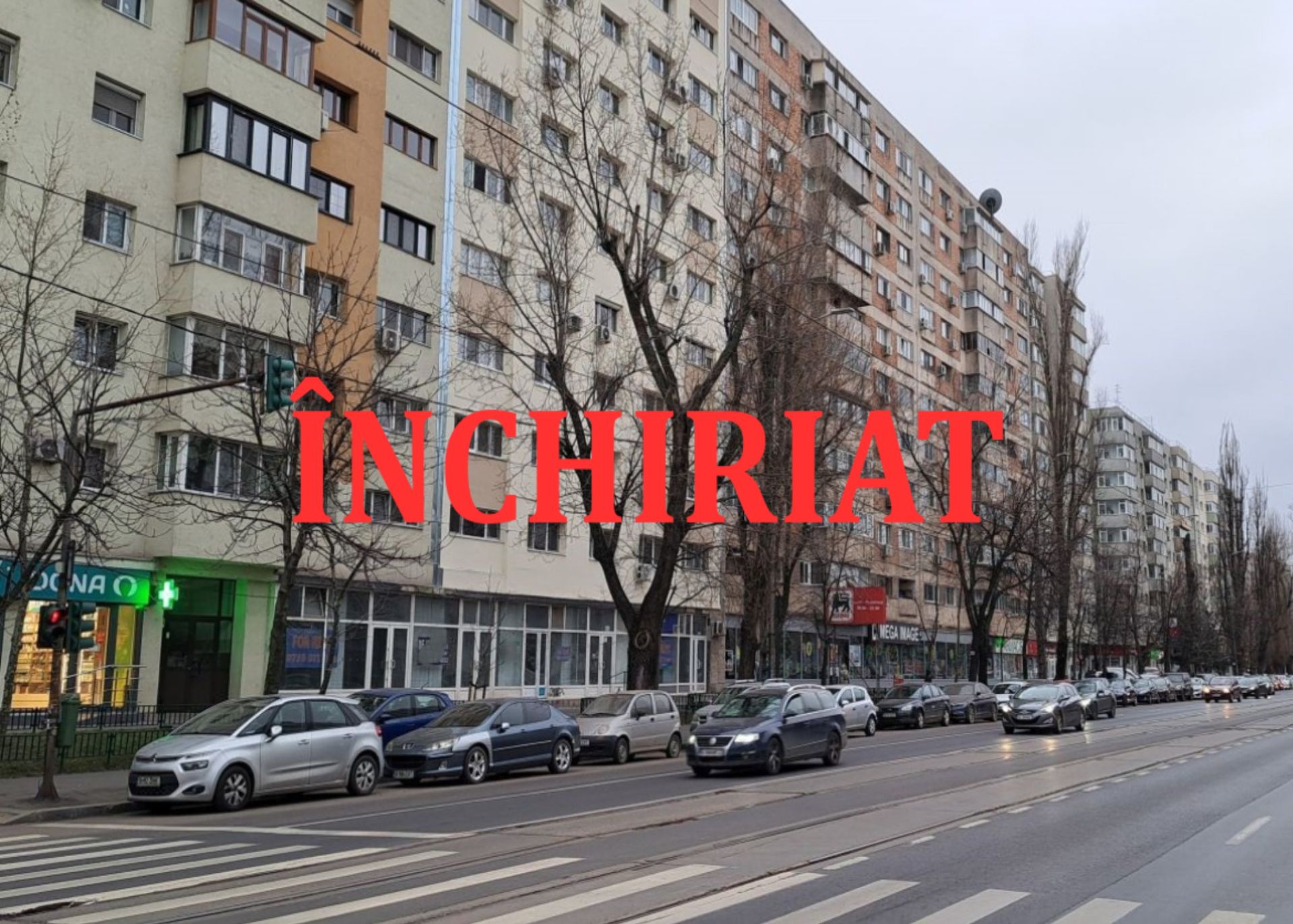 Your paragraph text (2)-redimensionată-la-2000x1430 (1).jpeg