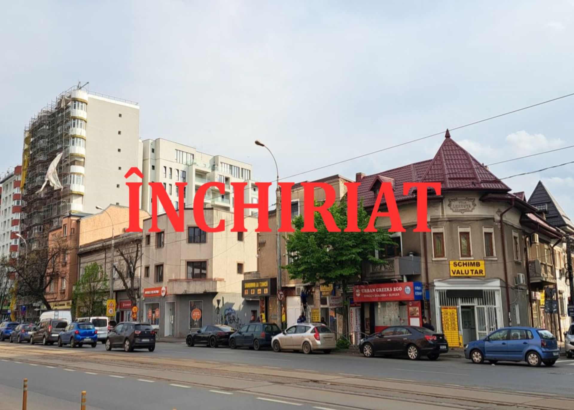 8. Ion Mihalache 18-22.jpeg