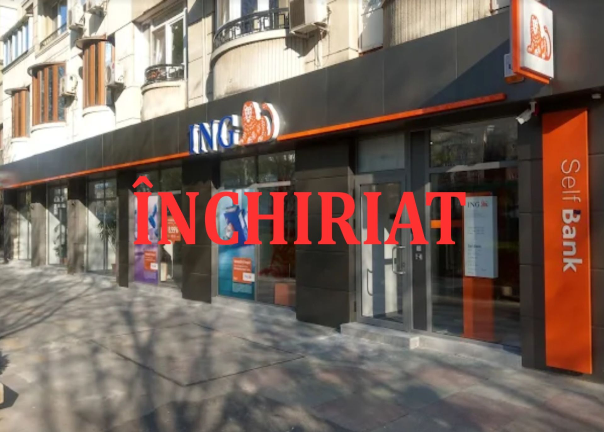 Your paragraph text (14)-redimensionată-la-2000x1430.jpeg