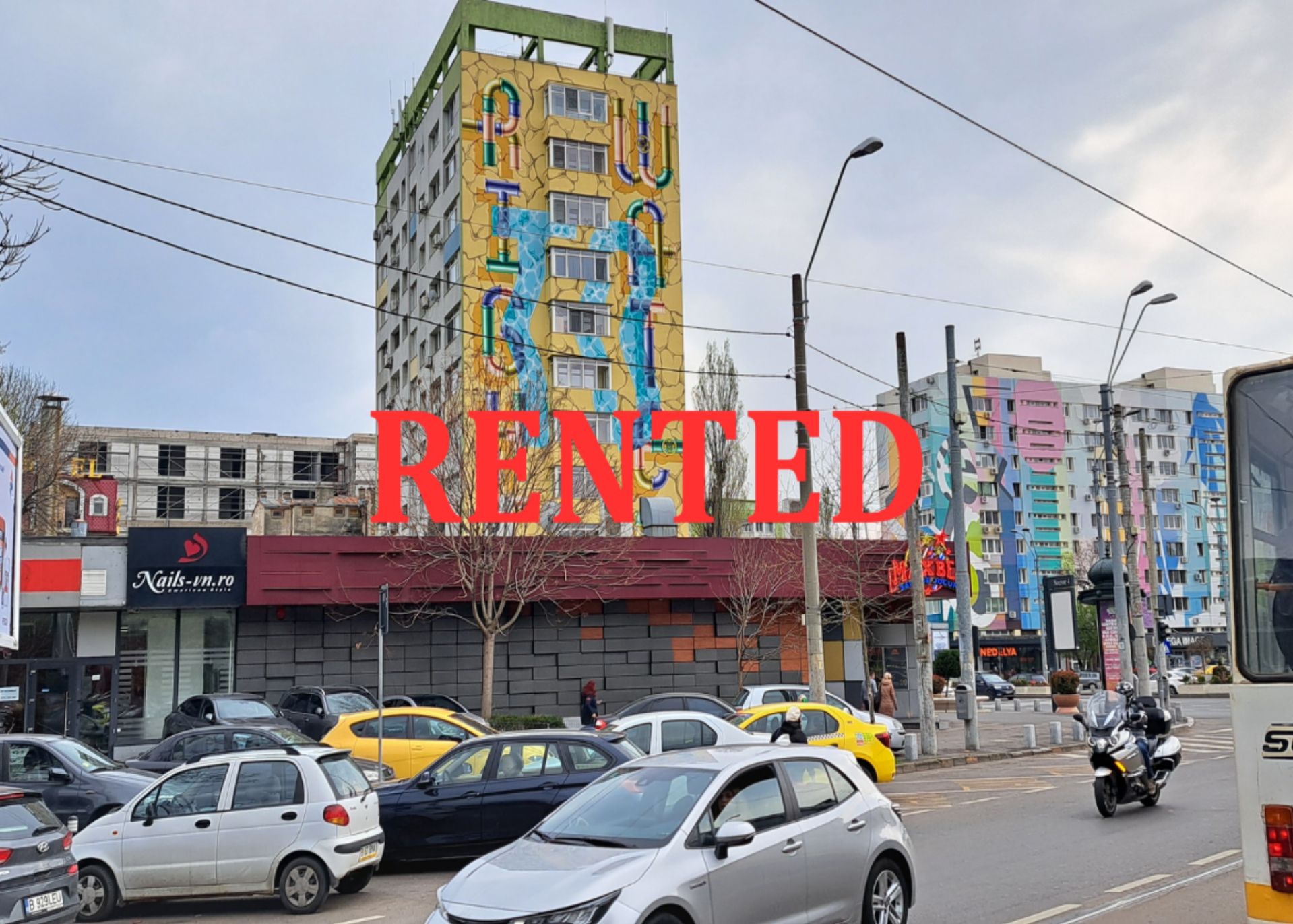 Dimitrie Cantemir 11.jpeg