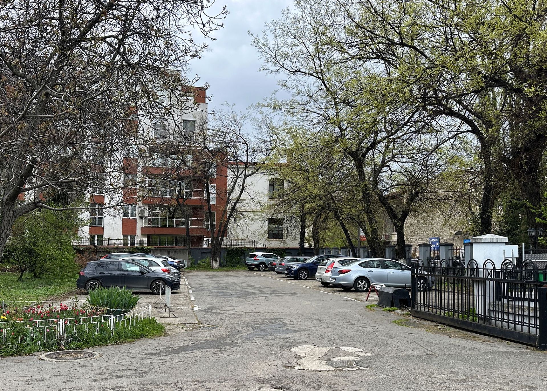 Diplomat BC - poza 8.JPG