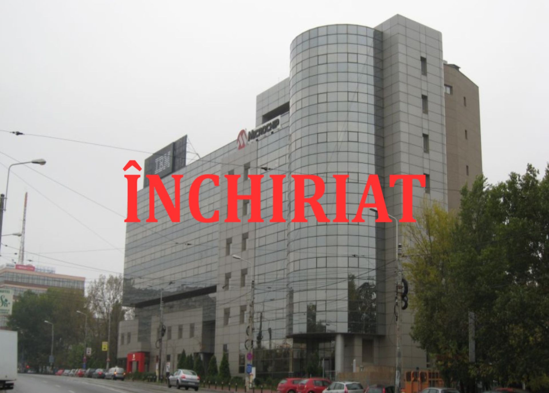 Your paragraph text-redimensionată-la-1999x1430.jpeg