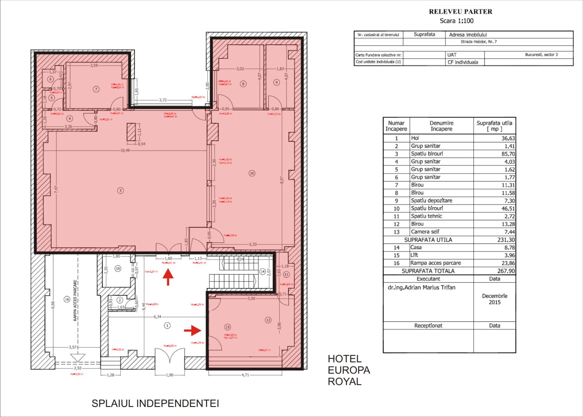 Halelor 7 - parter - 196m2 - plan 2000x1430.jpg