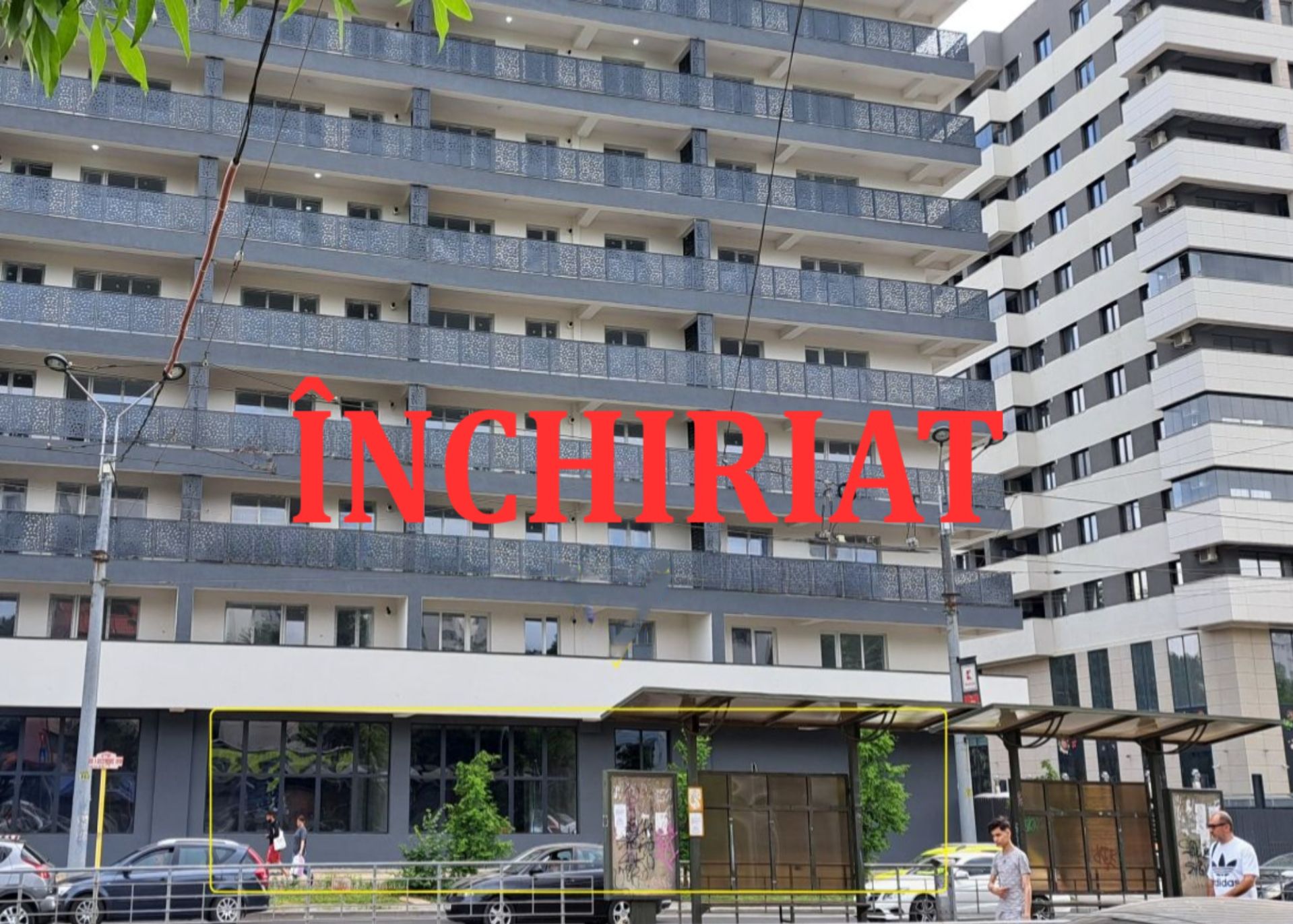 Your paragraph text-redimensionată-la-2000x1430 (4).jpeg