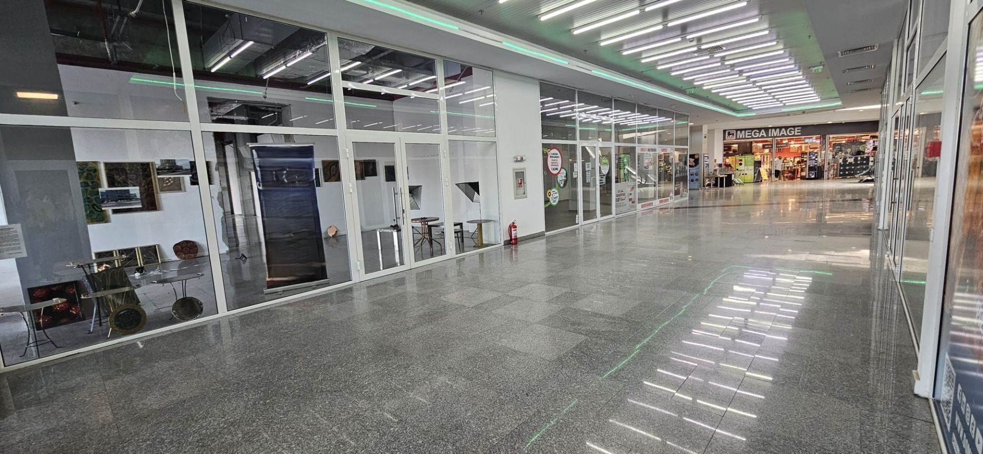 PHOTO-2025-03-05-15-45-49 (10).jpg