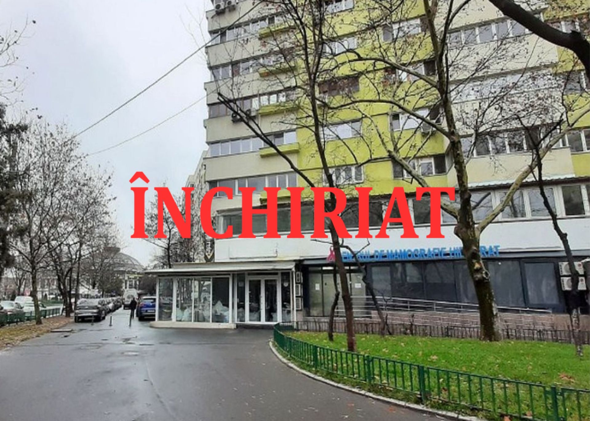 Your paragraph text (8)-redimensionată-la-2000x1430.jpeg