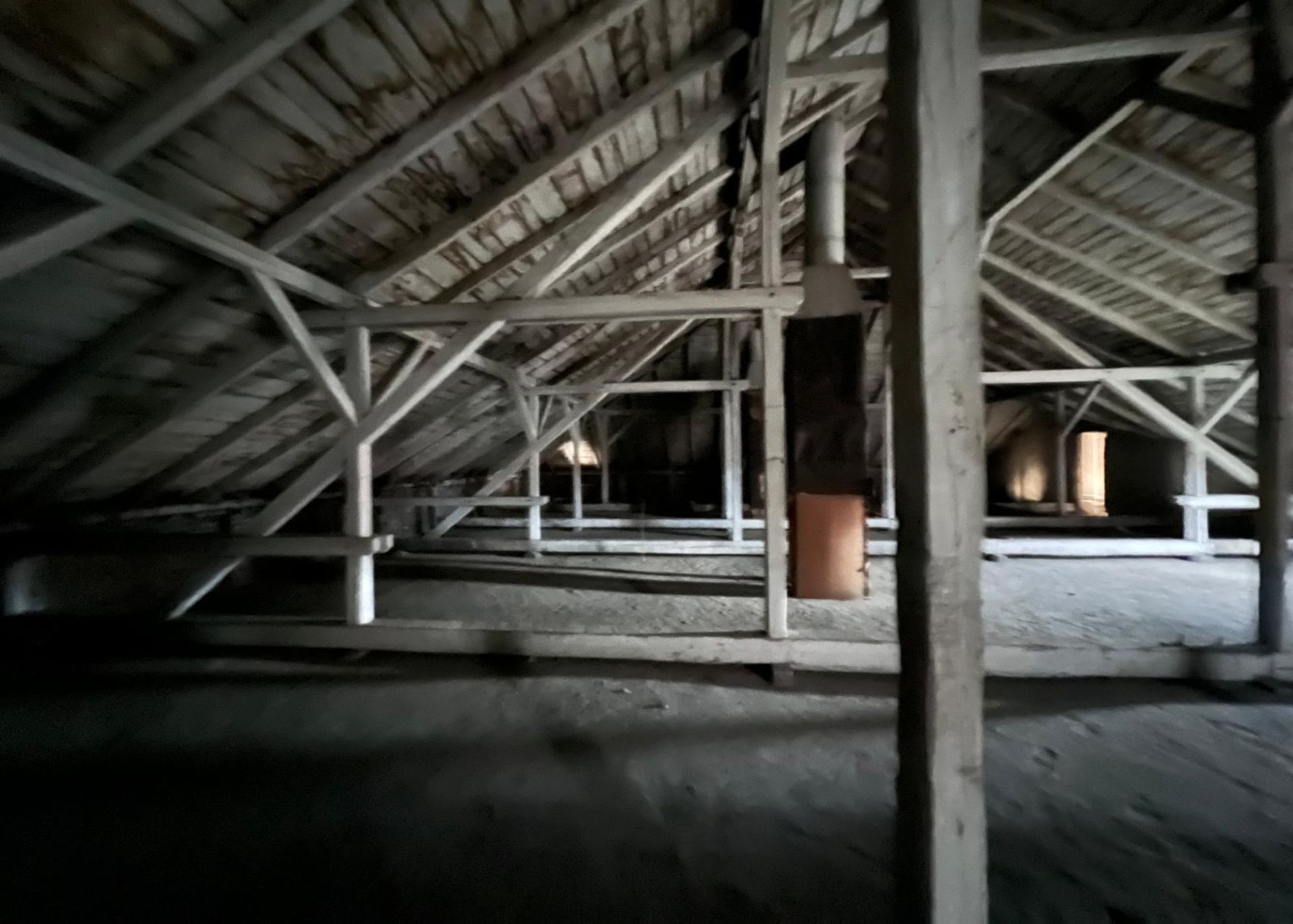 PHOTO-2025-02-20-15-12-58 (1)-redimensionată-la-2000x1430.jpeg