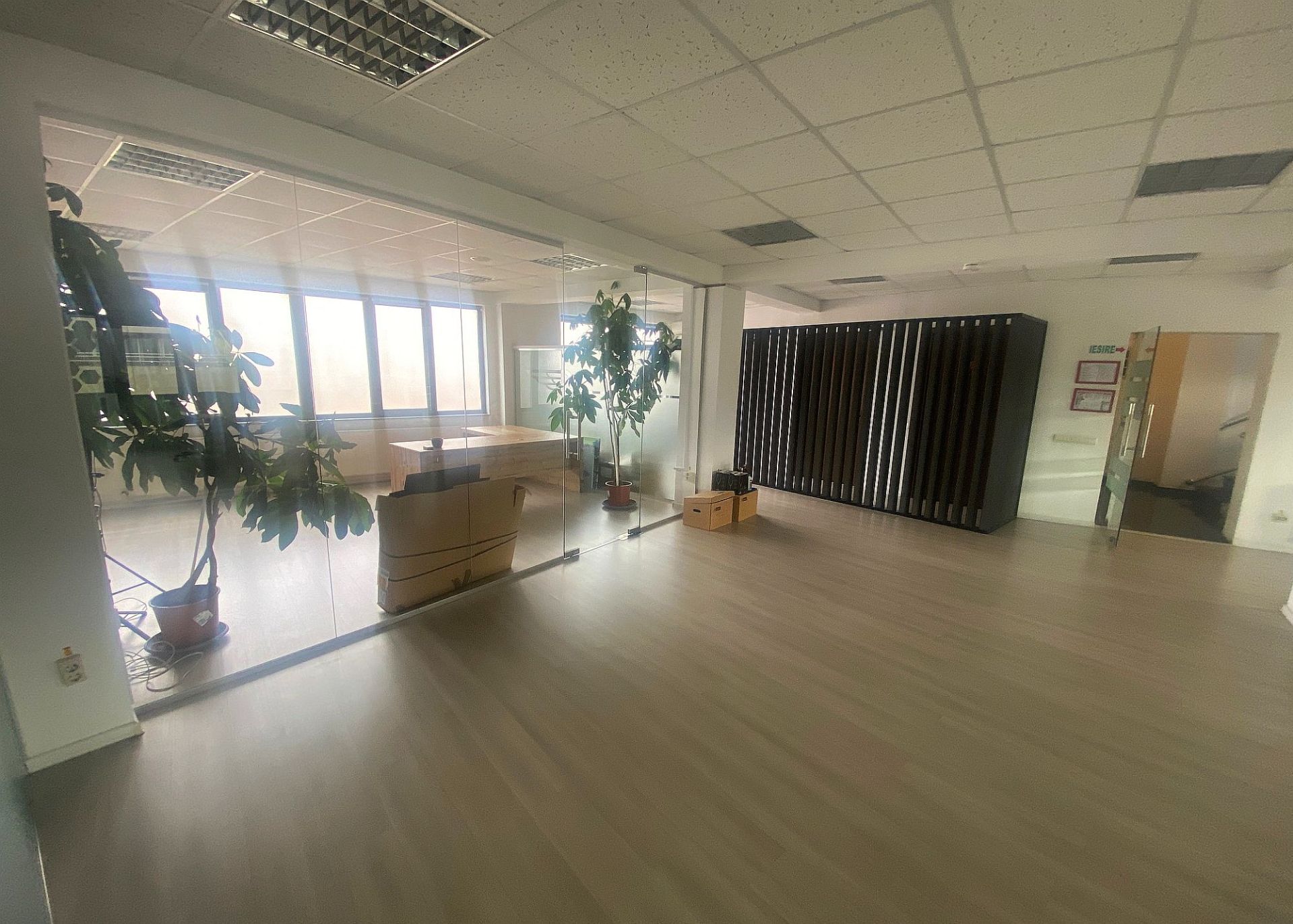 Zarii 9 - poza 5.JPG